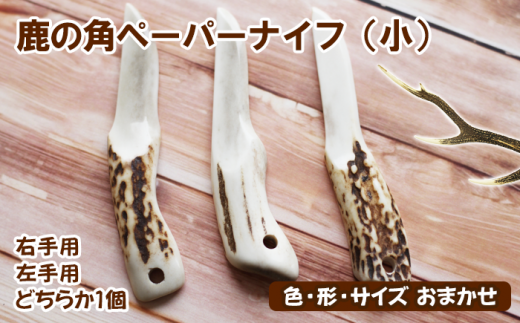 [色、形、大きさおまかせ]鹿の角 ペーパーナイフ (小)1個 右手 左手用 どちらか選べる[竜鹿] / 本物 加工 鹿
