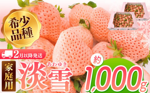 【2月以降発送】ご家庭用淡雪 約1000g ｜ フルーツ 果物 いちご 淡雪 熊本 玉名