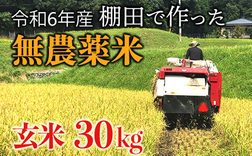 【新米】赤村産棚田米こだわりの夢つくし（玄米）30kg J3-S