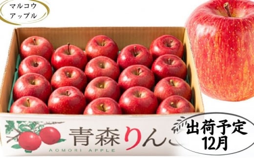 【12月発送】 特A 濃厚サンふじ約5kg　糖度13度以上【青森りんご・マルコウアップル】