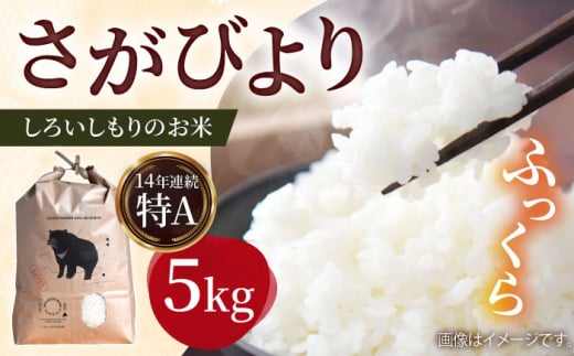【農家直送！】しろいしもりのお米 さがびより 5kg【Sunrise328】 [ICD009]