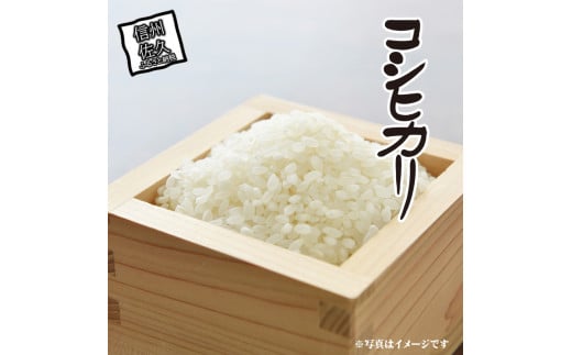 JA佐久浅間管内産　令和6年度産　コシヒカリ　約5kg　＜出荷開始：2024年10月28日～2024年11月30日まで＞【 強粘土　有機質の強い土壌　味・粘り・香りとバランスが良い 長野県 佐久市 】 1407748 - 長野県佐久市