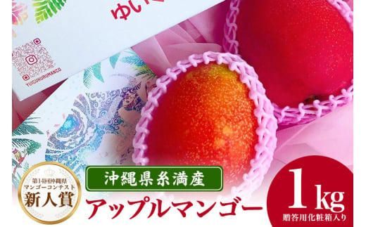 【2024年発送】沖縄県糸満産の「濃厚アップルマンゴー」1kg　オリジナル贈答用化粧箱入り　生産者：ゆいぐくるマンゴー