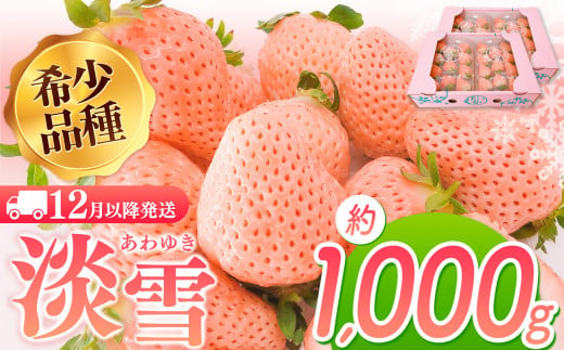 【12月以降発送】淡雪 約1000g ｜ フルーツ 果物 いちご 淡雪 熊本 玉名