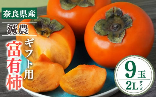 富有柿ギフト（紙箱）2Lサイズ 9個 |フルーツ 果物 くだもの 柿 かき カキ 奈良県  五條市