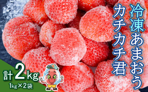 冷凍 あまおう カチカチ君 (1kg×2袋)  苺 いちご 冷凍いちご 3S14 1314724 - 福岡県川崎町