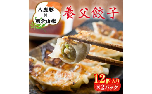 八鹿豚味わう養父餃子(要冷凍/12個入り)×2パック