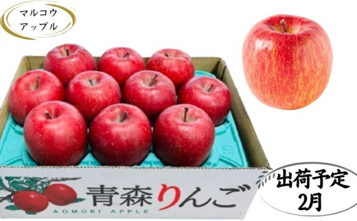 【2月発送】特A 濃厚サンふじ約3kg 糖度13度以上【青森りんご・マルコウアップル】