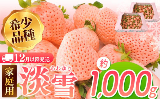 【12月以降発送】ご家庭用淡雪 約1000g ｜ フルーツ 果物 いちご 淡雪 熊本 玉名