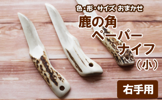 [色、形、大きさおまかせ]鹿の角 ペーパーナイフ (小)1個 右手用[竜鹿] / 本物 加工 鹿