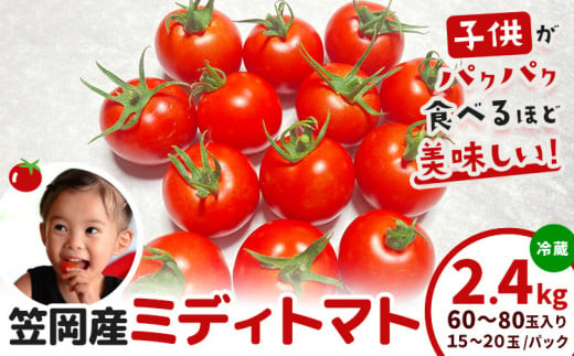 ミニトマトより食べ応えがあり、通常のトマトより食べやすい、バランスに優れたトマトです。