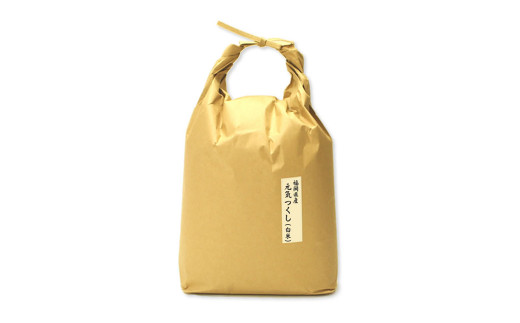 福岡県産 【特A】評価のお米「元気つくし」5kg×2袋(10kg) 白米