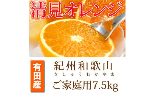 【ご家庭用訳アリ】紀州有田産清見オレンジ　7.5kg【2025年3月下旬以降発送】【先行予約】【UT54】 762261 - 和歌山県和歌山市