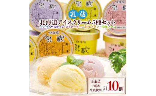 ＜毎月定期便＞「乳蔵」北海道アイスクリーム5種10個〈110130〉全3回【4013521】