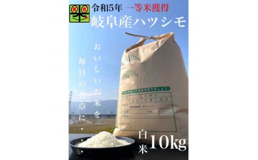 令和6年産　岐阜ハツシモ　10kg　精米【1148640】 1318766 - 岐阜県養老町