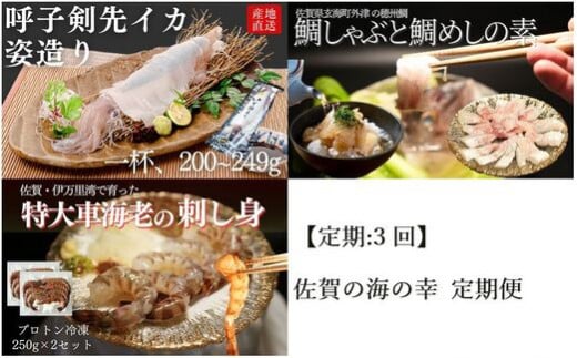 [定期便セット]佐賀の海の幸定期便(イカ1杯・しゃぶしゃぶセット(鯛スライス・鯛カマ・ポン酢・柚子胡椒・鯛めしの素)・冷凍車海老)