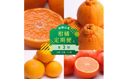 【 2・5・11月 全3回 】 柑橘定期便A【IKE7】 1303481 - 和歌山県かつらぎ町