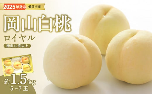 【2025年発送分 先行受付スタート！】岡山県産 白桃 最高ランク！ロイヤル約1.5kg 5～7玉（令和７年7月以降発送） 1414799 - 岡山県備前市