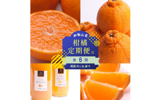 【偶数月 全6回 】 柑橘定期便B【IKE14】 1303487 - 和歌山県かつらぎ町
