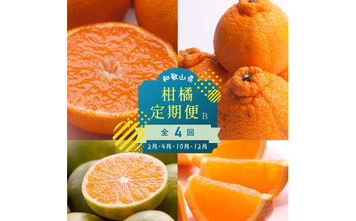 【 2・4・10・12月 全4回 】 柑橘定期便B【IKE6】 1303486 - 和歌山県かつらぎ町