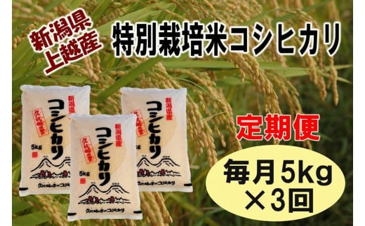 【定期便】新潟県上越産特別栽培米コシヒカリ5kg×3回　令和5年度産 1315531 - 新潟県上越市