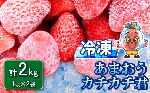 冷凍 あまおう カチカチ君 (1kg×2袋)  冷凍あまおう 冷凍 苺 いちご 3W14 1315660 - 福岡県赤村