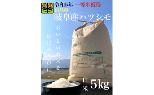 令和6年産　岐阜ハツシモ(旧品種)　5kg　白米【1460021】 1318854 - 岐阜県養老町