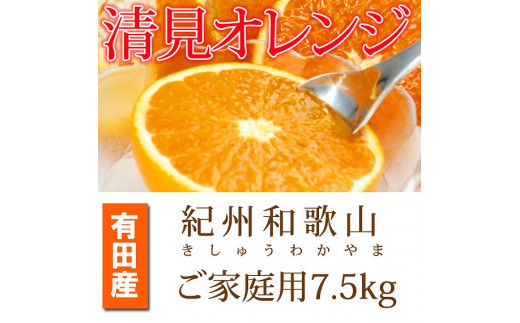 [ご家庭用訳アリ]紀州有田産清見オレンジ 7.5kg[2025年3月下旬以降発送][先行予約][UT54]
