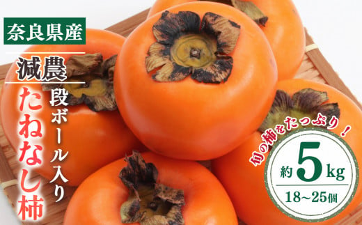 たねなし柿ダンボール 5kg（18～25コ程度）｜フルーツ 果物 柿 かき カキ 奈良県 五條市
