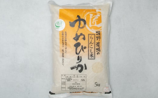 らんこし米 ゆめぴりか 5kg