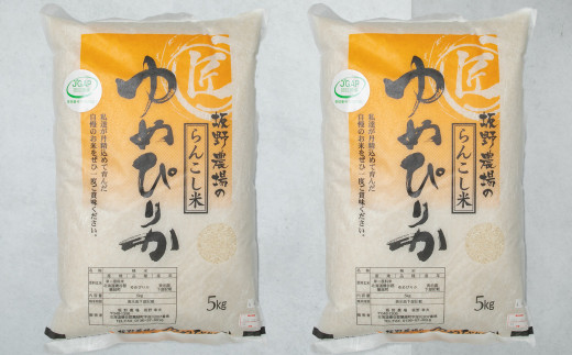 らんこし米 ゆめぴりか 10kg(5kg×2袋)