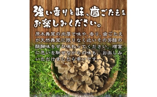 令和6年産】増富天空の舞茸 原木まいたけ 約1kg - 山梨県北杜市｜ふるさとチョイス - ふるさと納税サイト