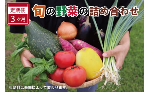 旬の野菜 詰め合わせ 6～7品以上 連続3か月【定期便】おまかせ セット 産地直送 新鮮