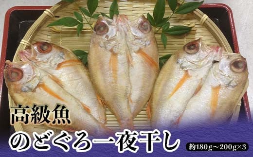 高級魚のどぐろ一夜干し 約180g～200g×3 一夜干し あかむつ類 のどぐろ ノドグロ 魚  グルメ 海産物 海の幸 干物 おつまみ 肴 食品 復興 震災 コロナ 能登半島地震復興支援 北陸新幹線 F6P-0704 853990 - 石川県加賀市