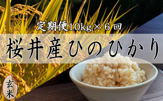 M-JCG2.定期便[玄米][特別栽培米]桜井市高家産 ヒノヒカリ (10kg×6回)