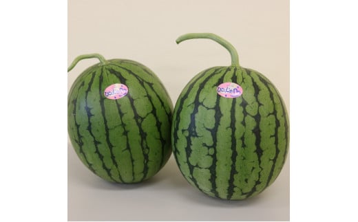 御坊産小玉すいか ひとりじめ L～2L寸（2玉約4～5kg）