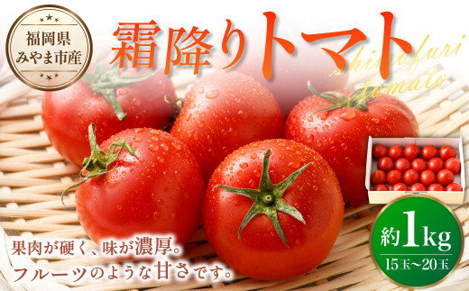 A274 霜降りトマト 計1箱（15玉から20玉1kg以上） 1247890 - 福岡県みやま市