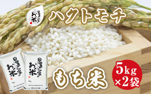 ６１３．日置さん家のお米「ハクトモチ」（もち米）5kg×2袋【精米・2023年産】