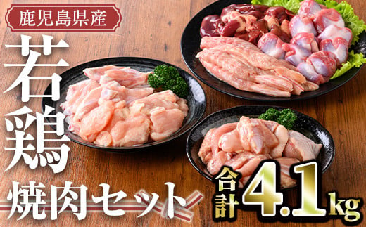 鹿児島県産 若鶏焼肉セット(計4.1kg) 小分け 鶏肉 セット【TRINITY】A470