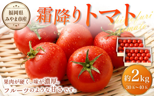 霜降りトマト 計2箱 1箱（1kg以上：15玉から20玉入り）×2