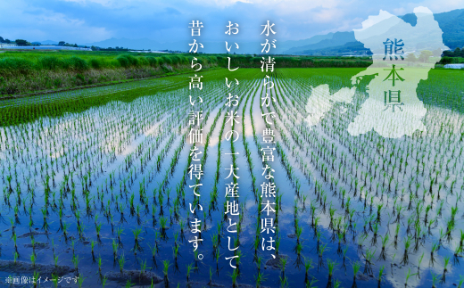 水が清らかで豊富な熊本県は、おいしいお米の一大産地として昔から高い評価を得ています。