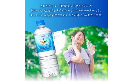 水 定期便 【6か月お届け】「アサヒおいしい水」天然水富士山 1箱(24本入）PET600ml 6回 水定期便 ミネラルウォーター 毎月 天然水 飲料水  - 山梨県富士吉田市｜ふるさとチョイス - ふるさと納税サイト