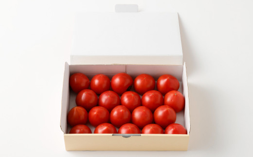 霜降りトマト 計1箱（15玉から20玉1kg以上）