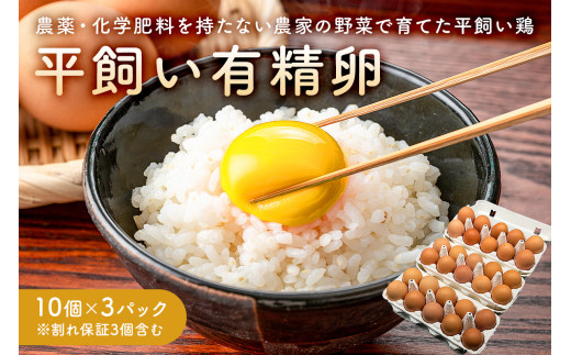 10月発送 有精卵　10個×3パック（割れ保証3個含む）農薬・化学肥料を持たない農家の野菜で育てた平飼い鶏 mi0036-0001-10 1047143 - 千葉県南房総市