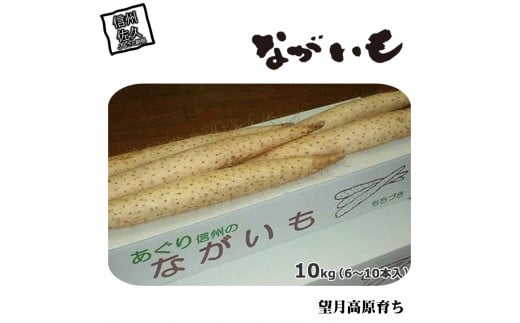 長野県産　ながいも　約10kg〈2024年11月25日出荷開始～2024年12月20日出荷終了〉 1468467 - 長野県佐久市