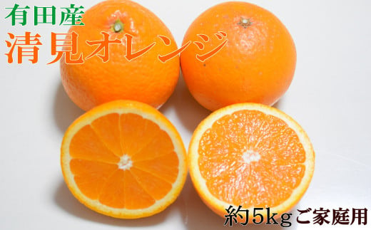 【濃厚】有田産清見オレンジ約5kg(M～3Lサイズおまかせ)ご家庭用　※2025年2月中旬～2025年3月中旬頃発送予定（お届け日指定不可）【tec959】 1527809 - 和歌山県すさみ町