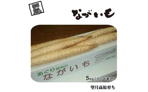 長野県産　ながいも　約5kg〈2024年11月25日出荷開始～2024年12月20日出荷終了〉 1468466 - 長野県佐久市