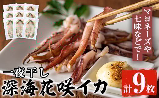 [先行予約受付中!2025年11月以降順次発送予定]数量限定!深海花咲イカ(計9枚)国産 いか 一夜干し 干物 ひもの 魚介 加工品 おつまみ おかず[福美丸水産]akn033-20
