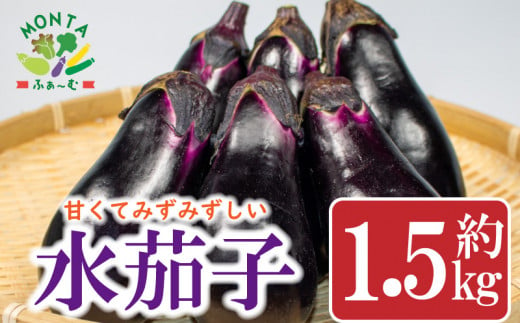 野菜 ナス なすび 水茄子 茄子 約 1.5kg 夏野菜 朝どれ 産地直送 徳島県 阿波市 1323665 - 徳島県阿波市
