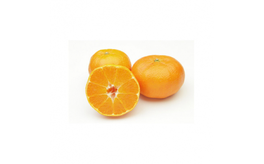 柑橘の鬼たちがつくる八幡浜産・甘平(2.7kg～3.0kg)＜訳あり＞＜D56-49＞【1486185】